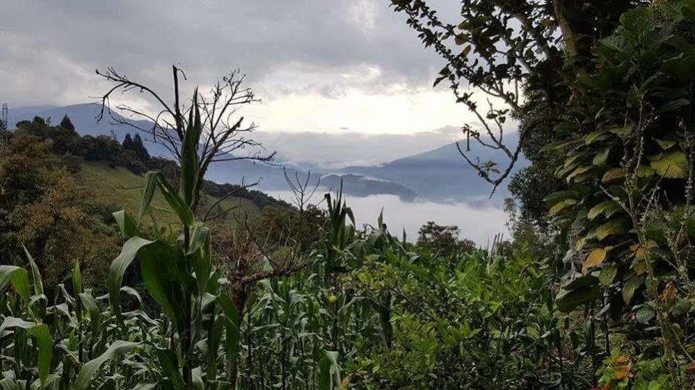 Las Orquideas Banos (Tungurahua) Ngoại thất bức ảnh